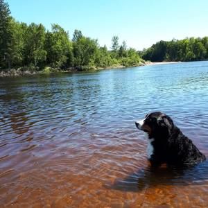 Meet your Posher, Cristel